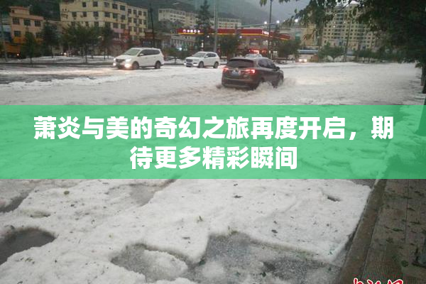 萧炎与美的奇幻之旅再度开启，期待更多精彩瞬间