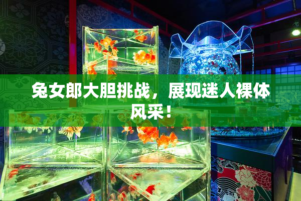兔女郎大胆挑战，展现迷人裸体风采！