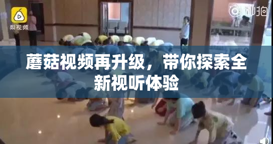 蘑菇视频再升级，带你探索全新视听体验