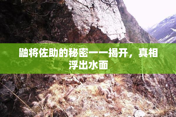 鼬将佐助的秘密一一揭开，真相浮出水面
