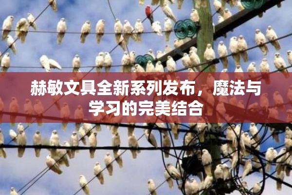 赫敏文具全新系列发布，魔法与学习的完美结合