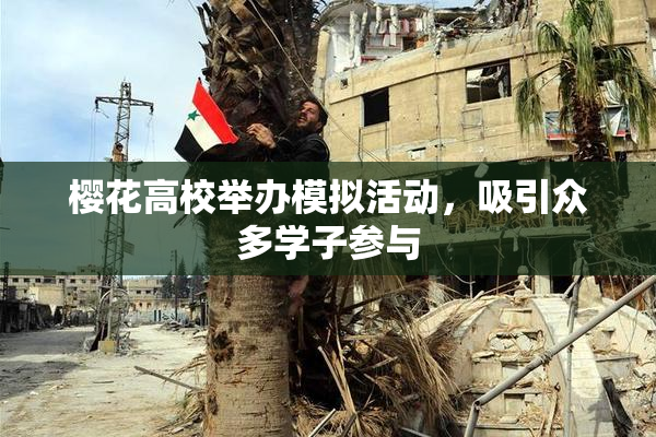 樱花高校举办模拟活动，吸引众多学子参与