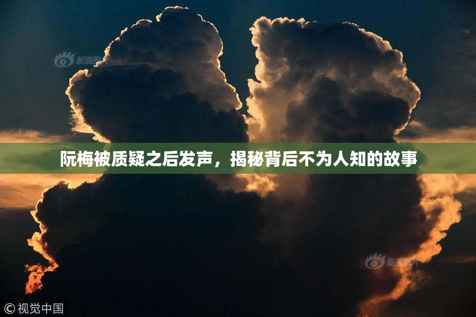 阮梅被质疑之后发声，揭秘背后不为人知的故事