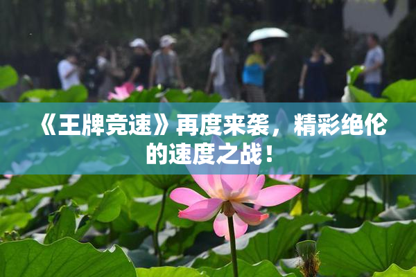《王牌竞速》再度来袭，精彩绝伦的速度之战！