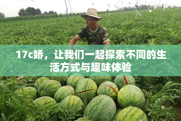 17c娇，让我们一起探索不同的生活方式与趣味体验