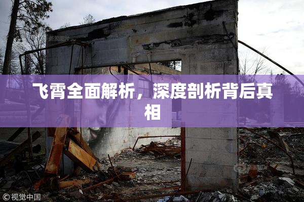 飞霄全面解析，深度剖析背后真相