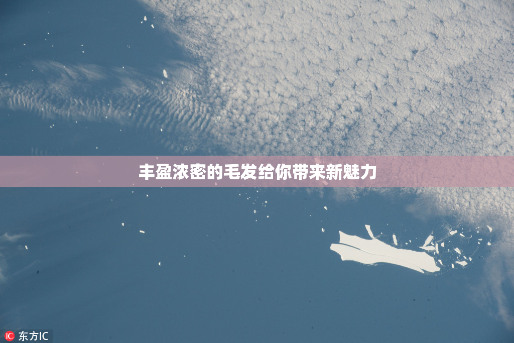 丰盈浓密的毛发给你带来新魅力