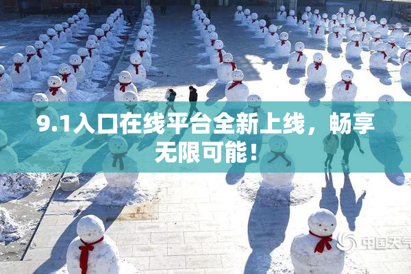 9.1入口在线平台全新上线，畅享无限可能！