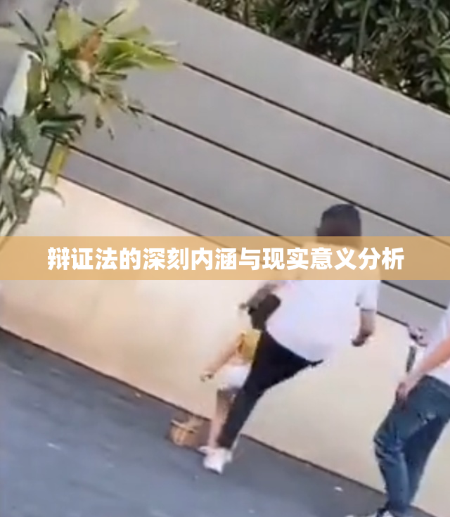 辩证法的深刻内涵与现实意义分析