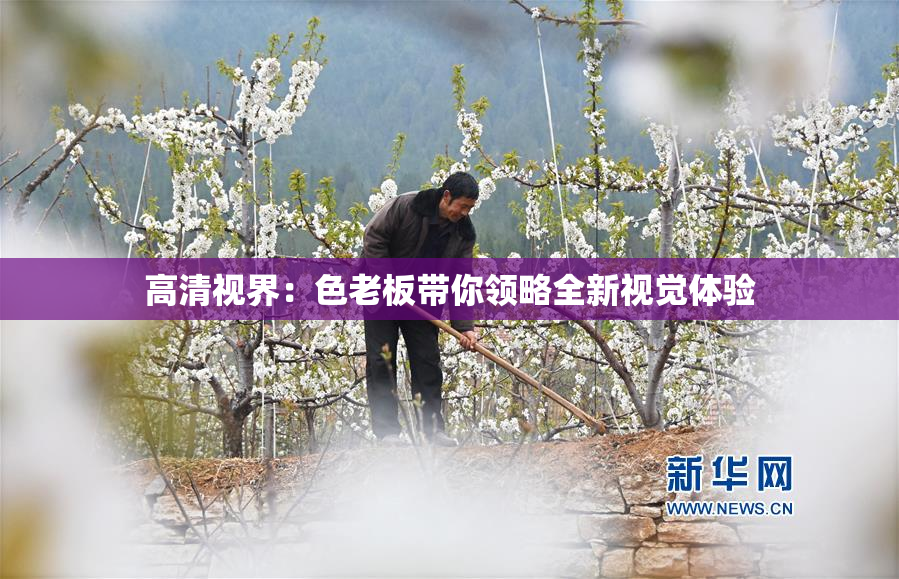 高清视界：色老板带你领略全新视觉体验