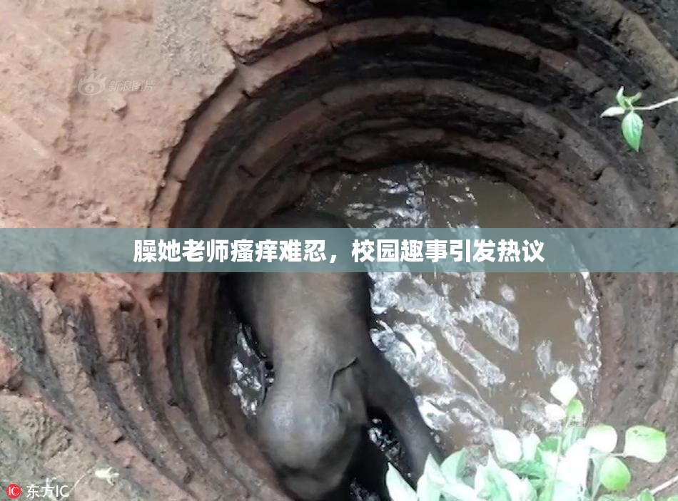 臊她老师瘙痒难忍，校园趣事引发热议