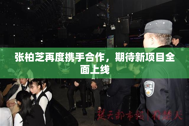 张柏芝再度携手合作，期待新项目全面上线