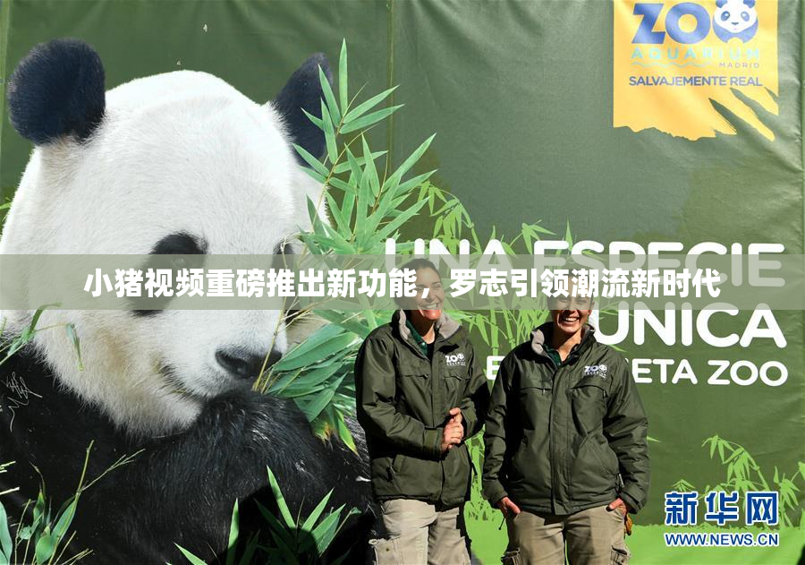 小猪视频重磅推出新功能，罗志引领潮流新时代
