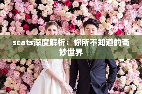 scats深度解析：你所不知道的奇妙世界
