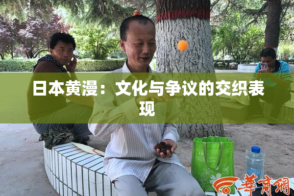 日本黄漫：文化与争议的交织表现