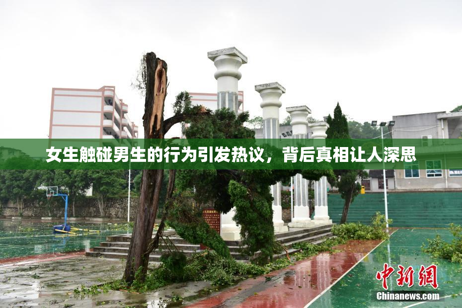 女生触碰男生的行为引发热议，背后真相让人深思