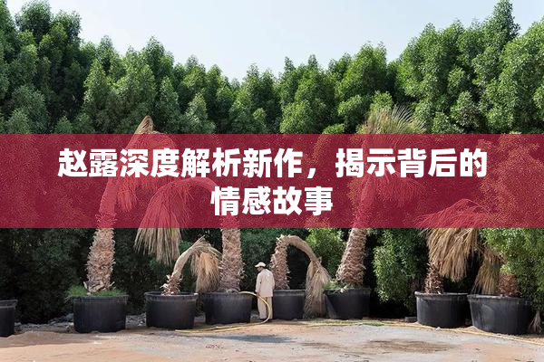 赵露深度解析新作，揭示背后的情感故事