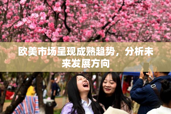 欧美市场呈现成熟趋势，分析未来发展方向