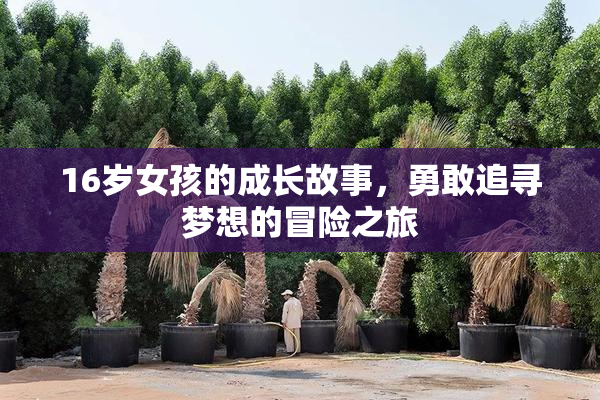 16岁女孩的成长故事，勇敢追寻梦想的冒险之旅
