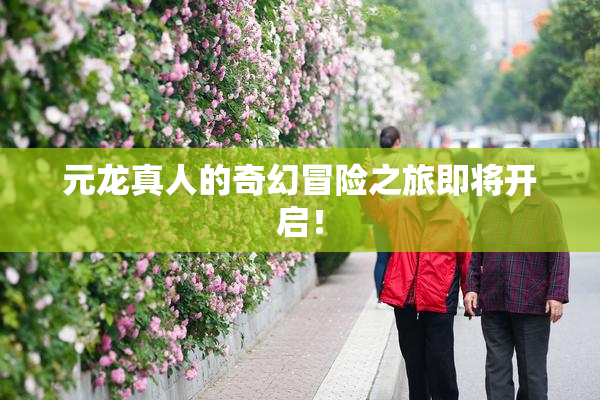 元龙真人的奇幻冒险之旅即将开启！