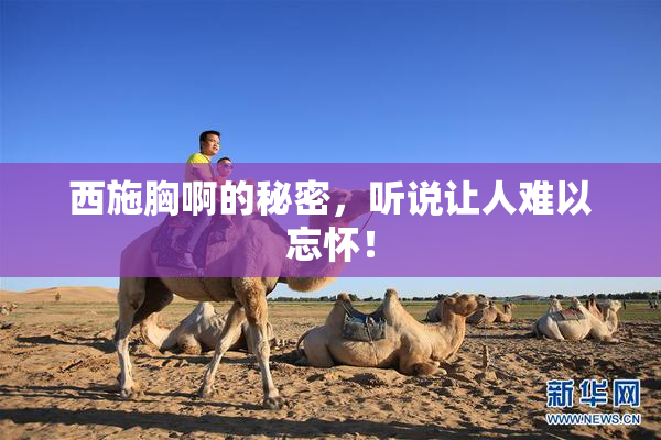 西施胸啊的秘密，听说让人难以忘怀！