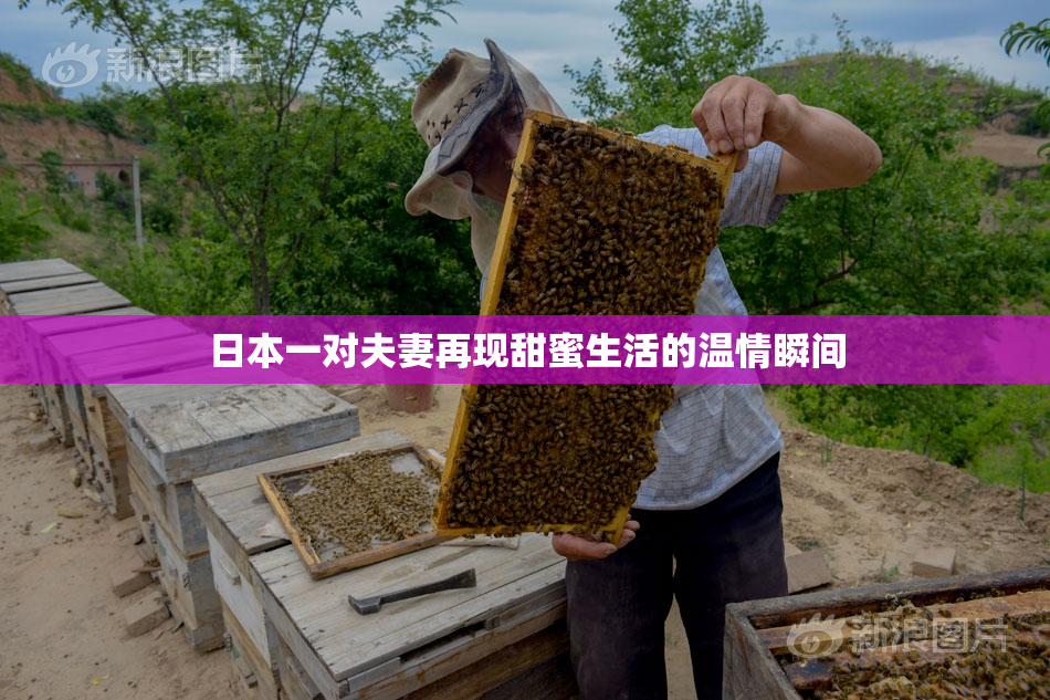 日本一对夫妻再现甜蜜生活的温情瞬间