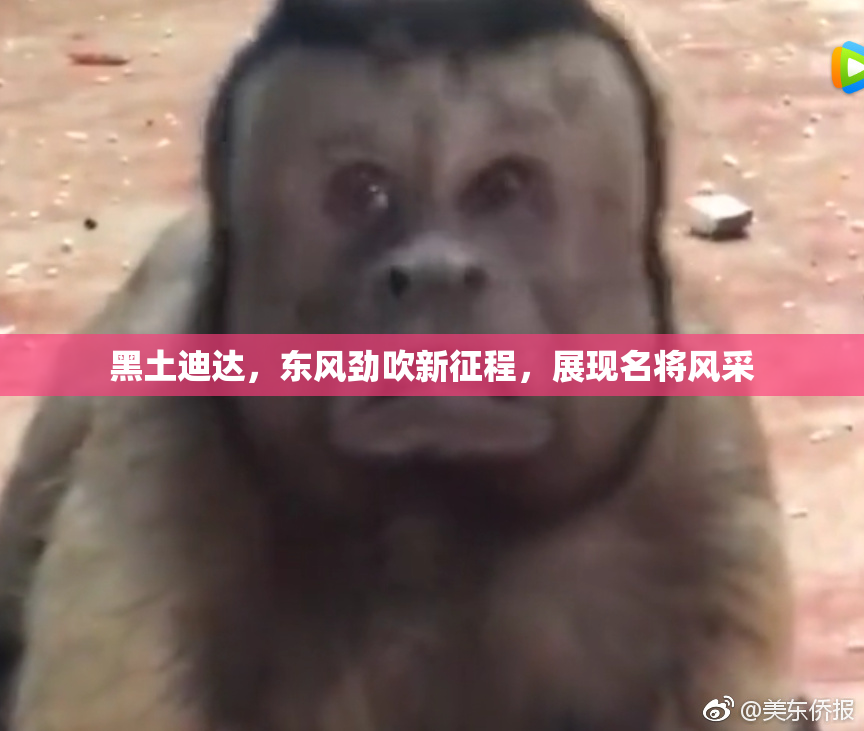 黑土迪达，东风劲吹新征程，展现名将风采