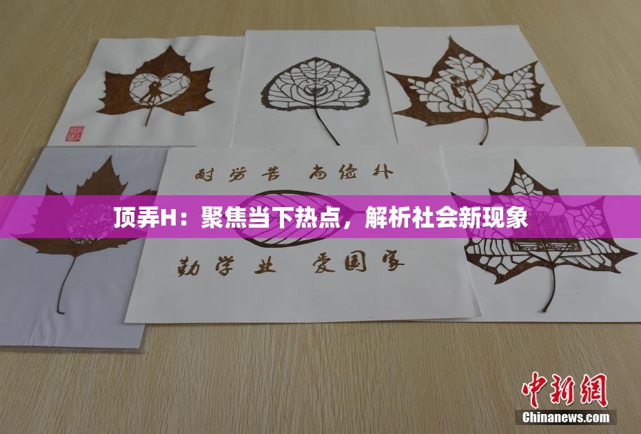 顶弄H：聚焦当下热点，解析社会新现象