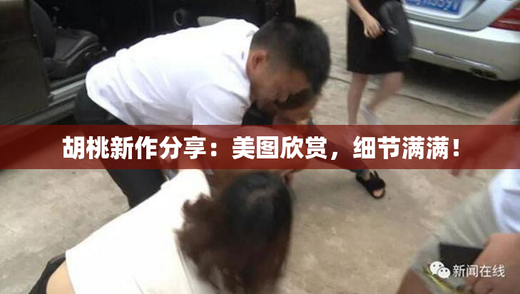胡桃新作分享：美图欣赏，细节满满！
