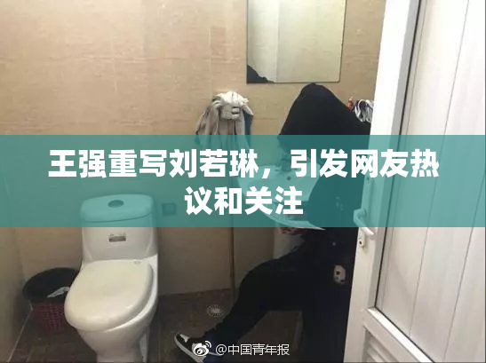 王强重写刘若琳，引发网友热议和关注