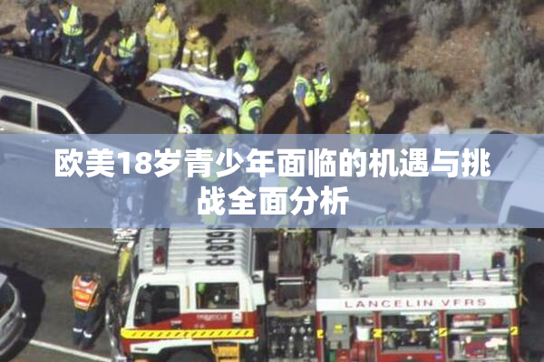 欧美18岁青少年面临的机遇与挑战全面分析