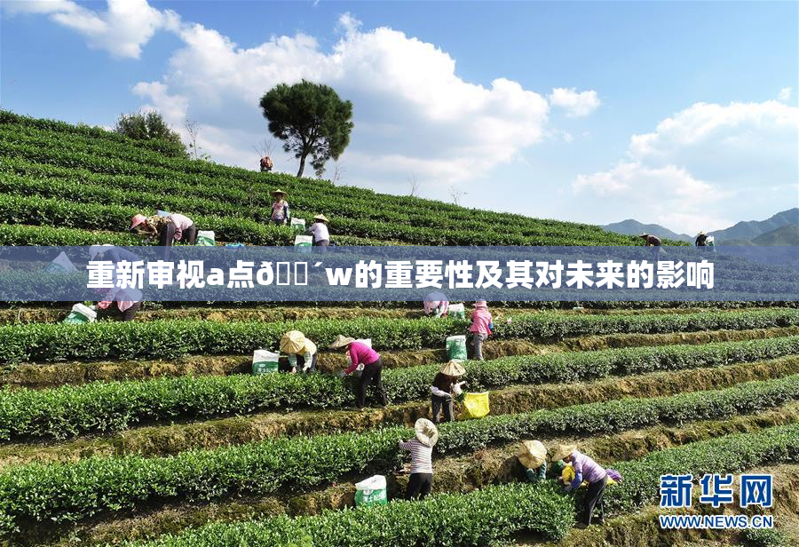 重新审视a点🔴w的重要性及其对未来的影响