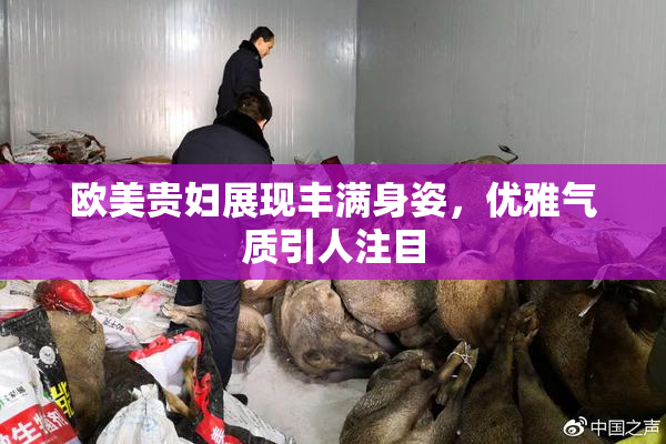 欧美贵妇展现丰满身姿，优雅气质引人注目