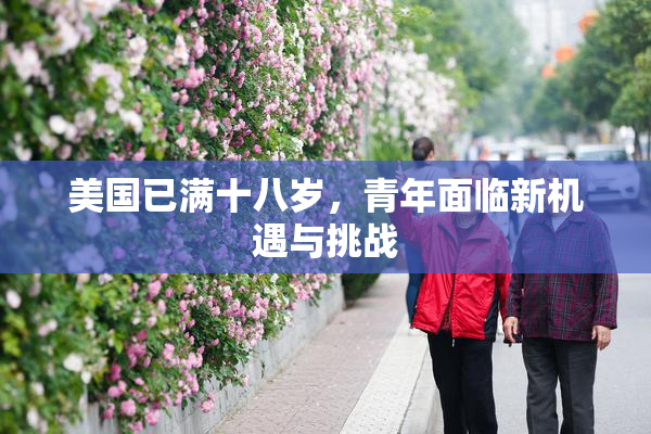 美国已满十八岁，青年面临新机遇与挑战