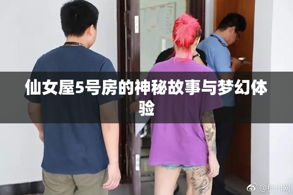 仙女屋5号房的神秘故事与梦幻体验