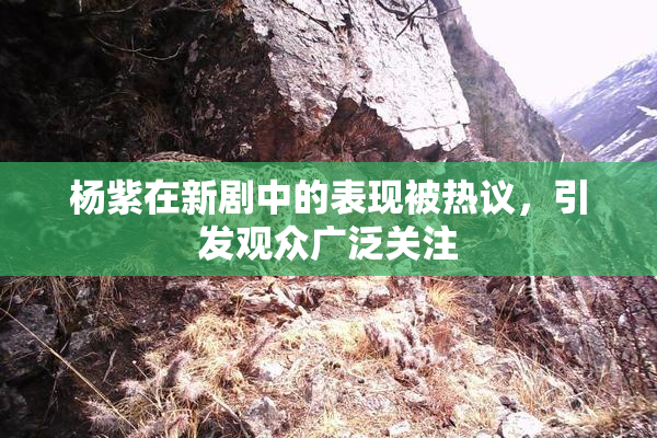杨紫在新剧中的表现被热议，引发观众广泛关注