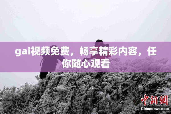 gai视频免费，畅享精彩内容，任你随心观看