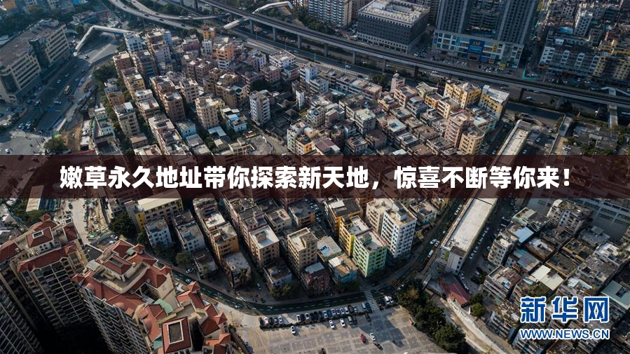 嫩草永久地址带你探索新天地，惊喜不断等你来！