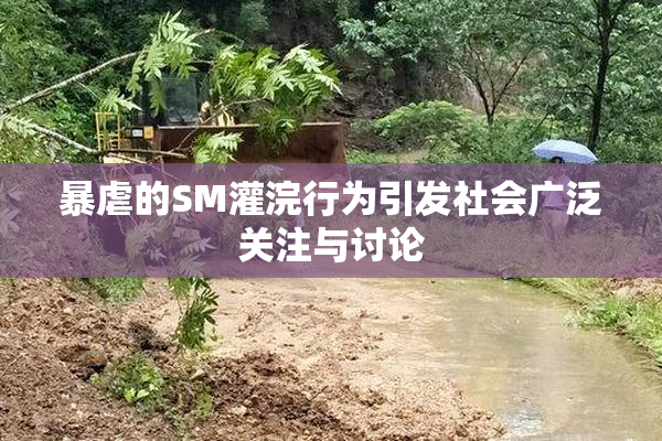暴虐的SM灌浣行为引发社会广泛关注与讨论