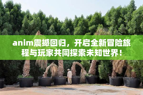 anim震撼回归，开启全新冒险旅程与玩家共同探索未知世界！