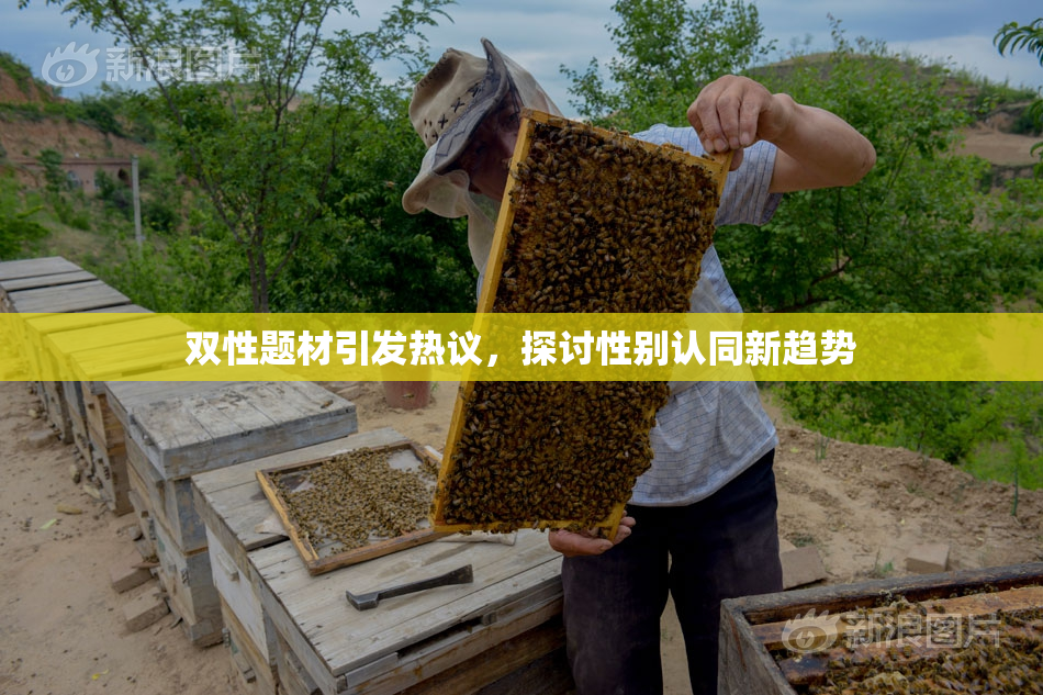 双性题材引发热议，探讨性别认同新趋势