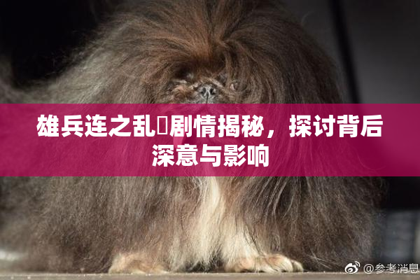 雄兵连之乱婬剧情揭秘，探讨背后深意与影响