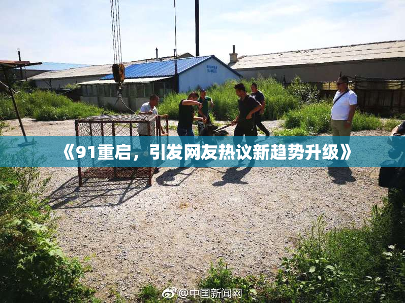 《91重启，引发网友热议新趋势升级》