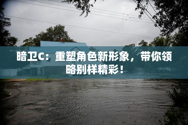 暗卫C：重塑角色新形象，带你领略别样精彩！