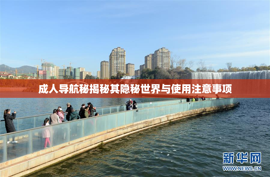 成人导航秘揭秘其隐秘世界与使用注意事项