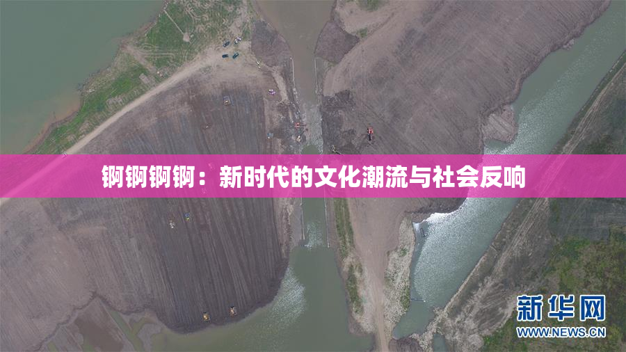 锕锕锕锕：新时代的文化潮流与社会反响