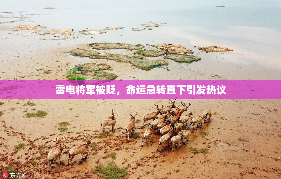 雷电将军被贬，命运急转直下引发热议