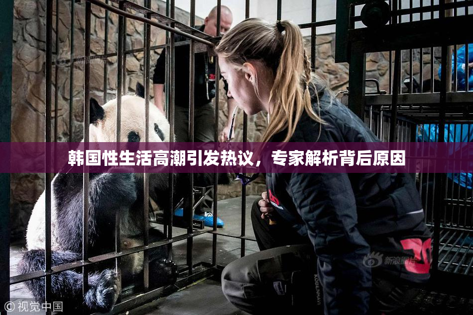 韩国性生活高潮引发热议，专家解析背后原因