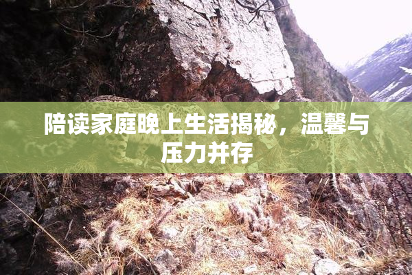 陪读家庭晚上生活揭秘，温馨与压力并存