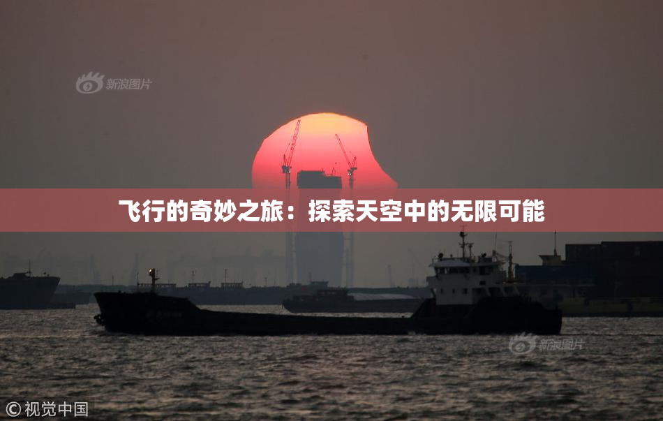 飞行的奇妙之旅：探索天空中的无限可能